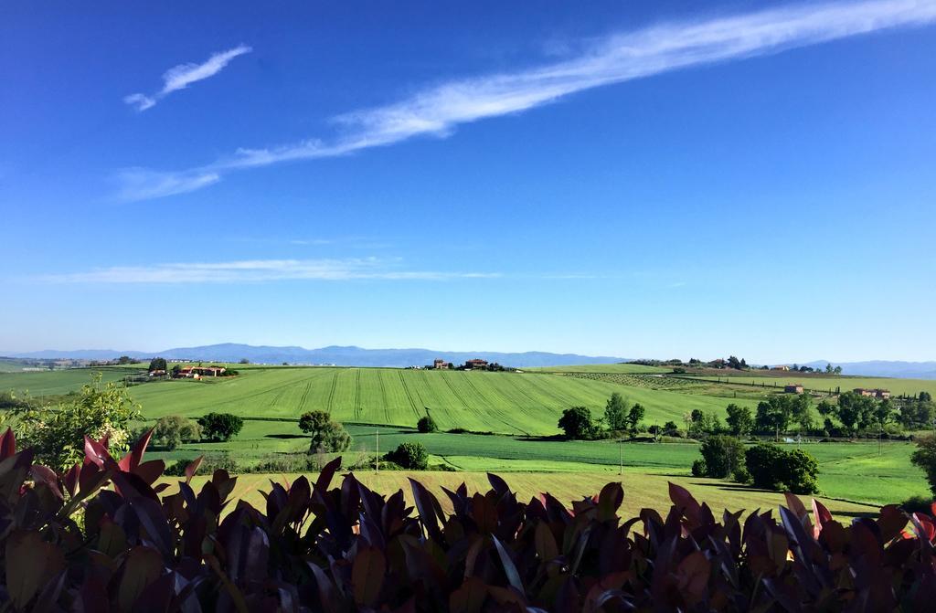 Tenuta Badia '99 Paciano エクステリア 写真